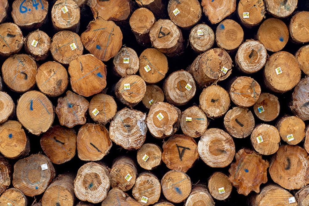 论木材中添加防腐剂的必要性 