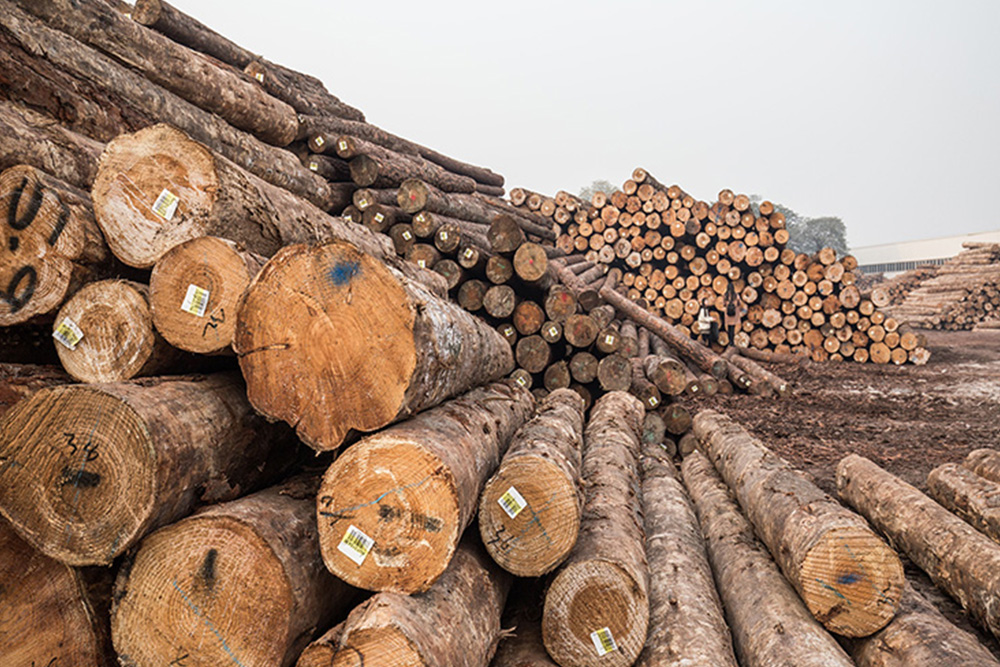 木材行业应用案例